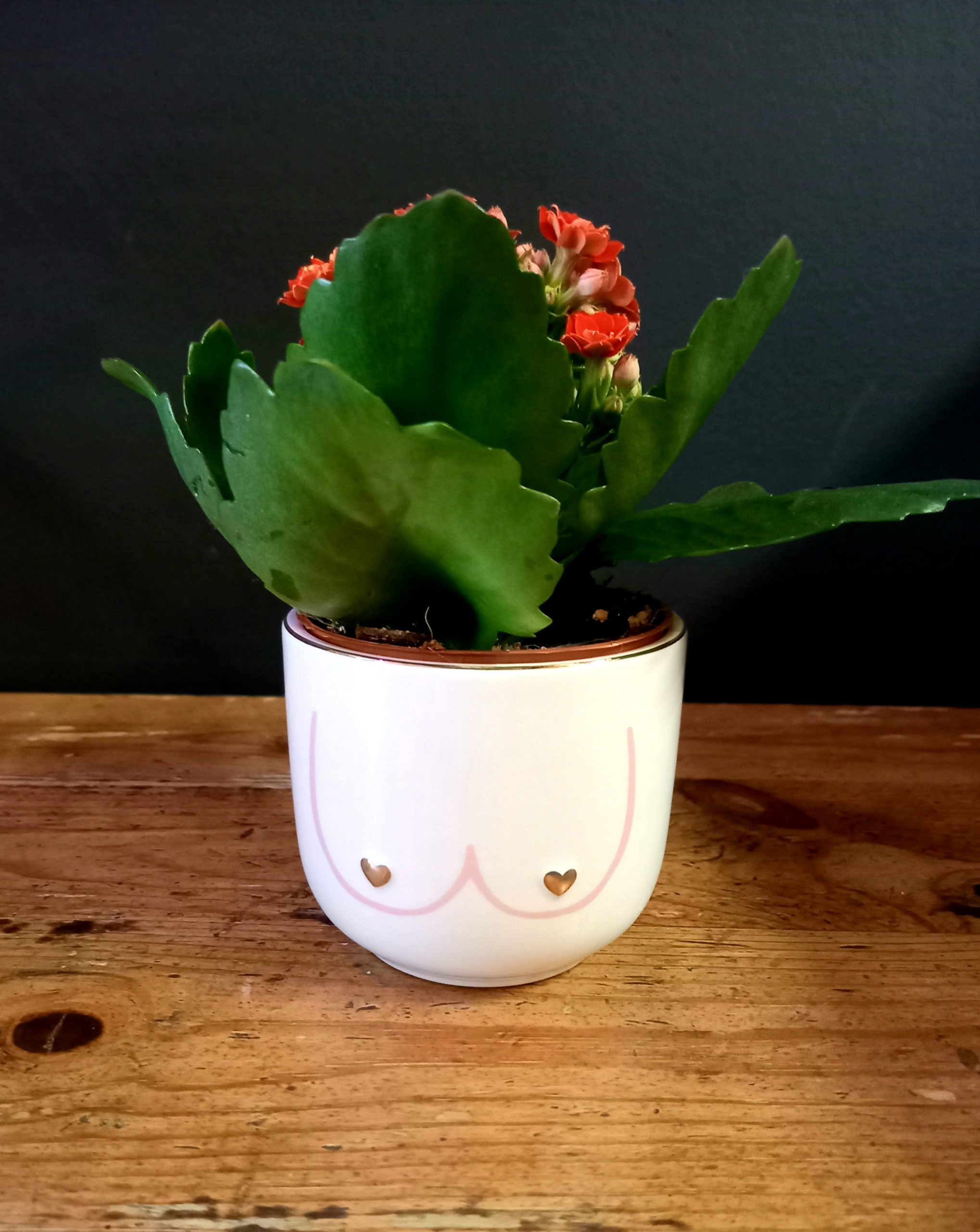 ceramic house plant pots 6 inch White Classical Ornate Ceramic Planter - Trendy Design Planter