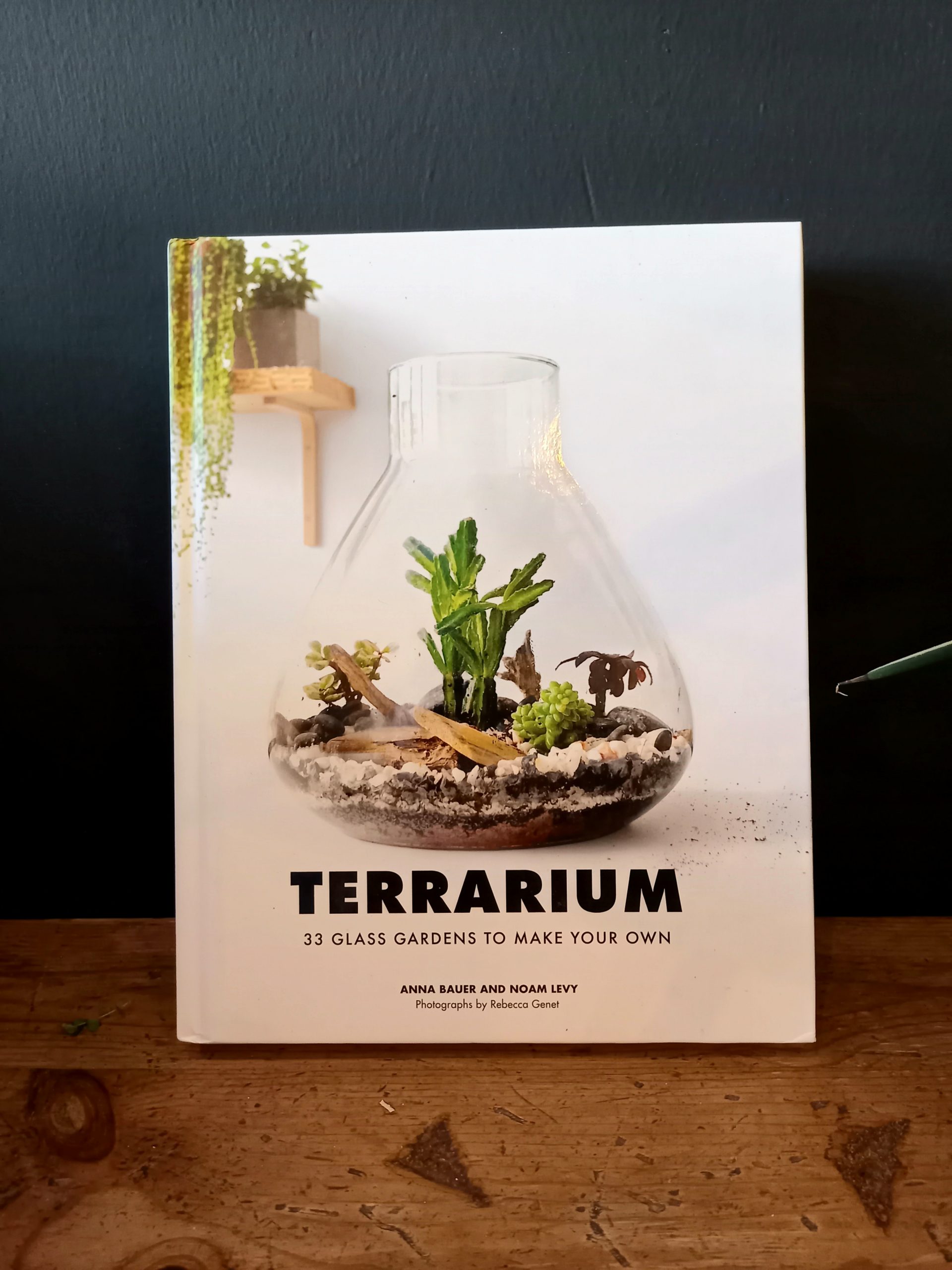 Terrarium by Anna Bauer