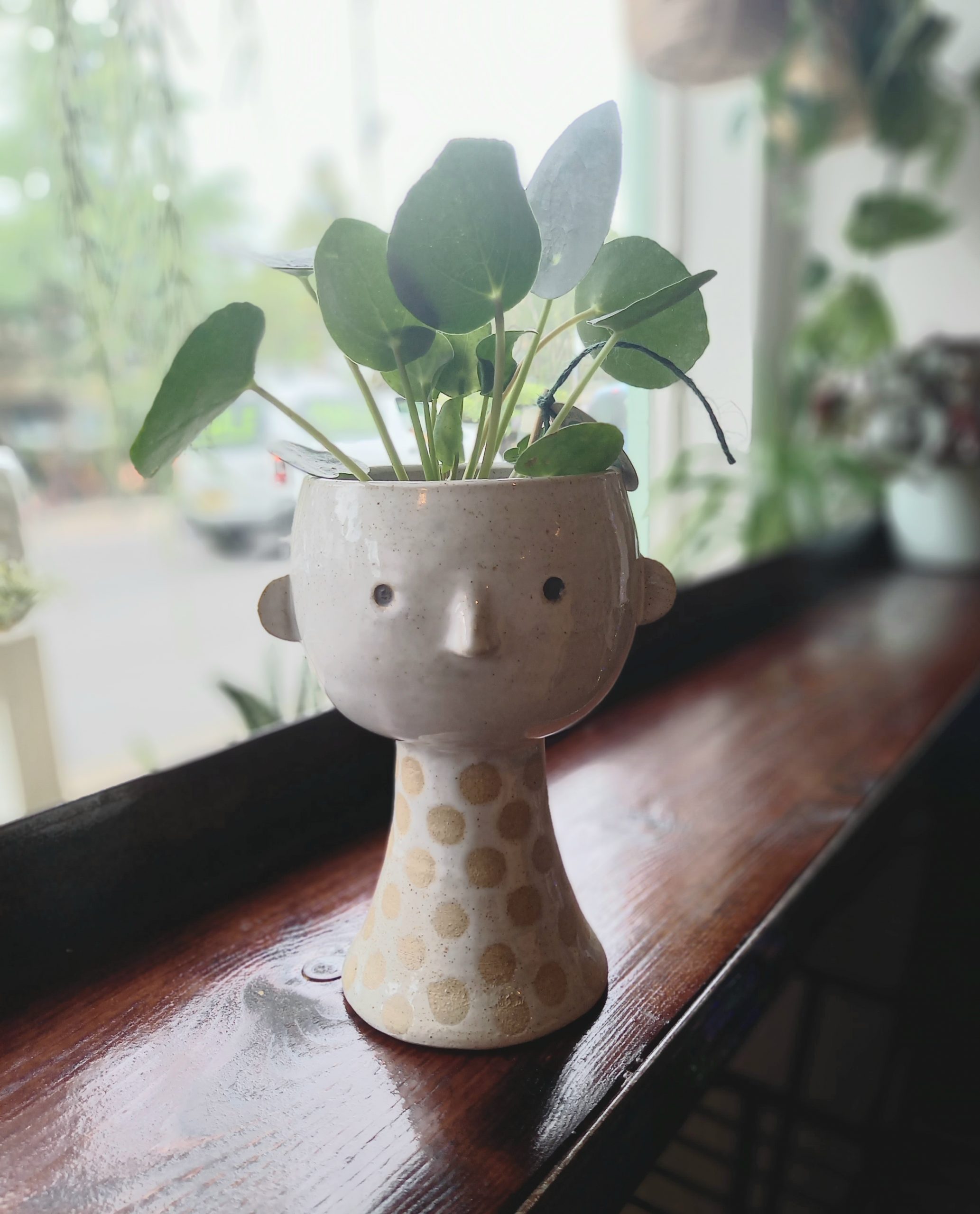 The Very Less tall face planter & vase