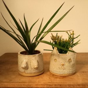 The Very Less Boob pot