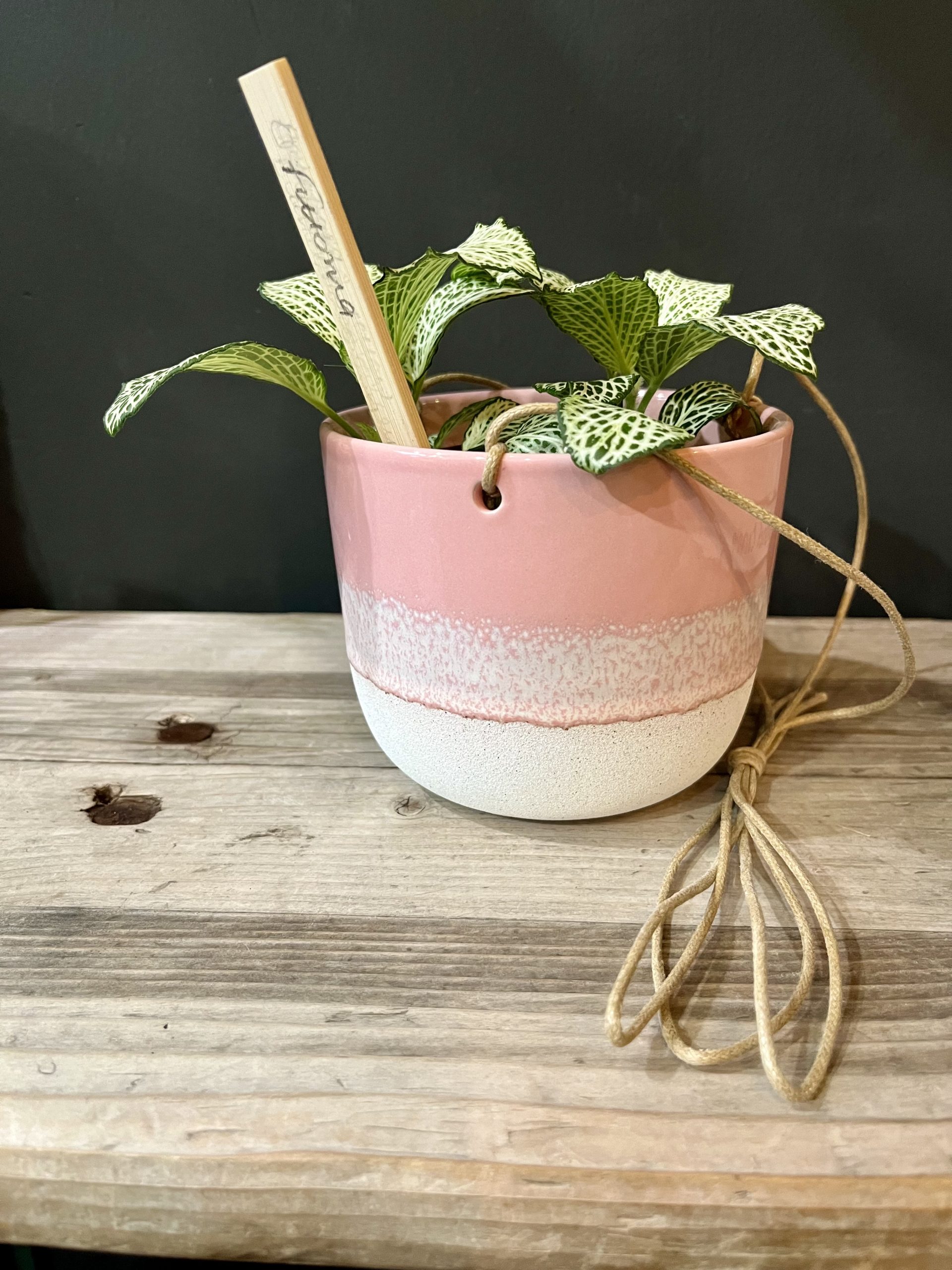 thumbnail image 2 of Little Fire Ceramics Handmade 5" Hanging Planter - Little Fire 2 of 11