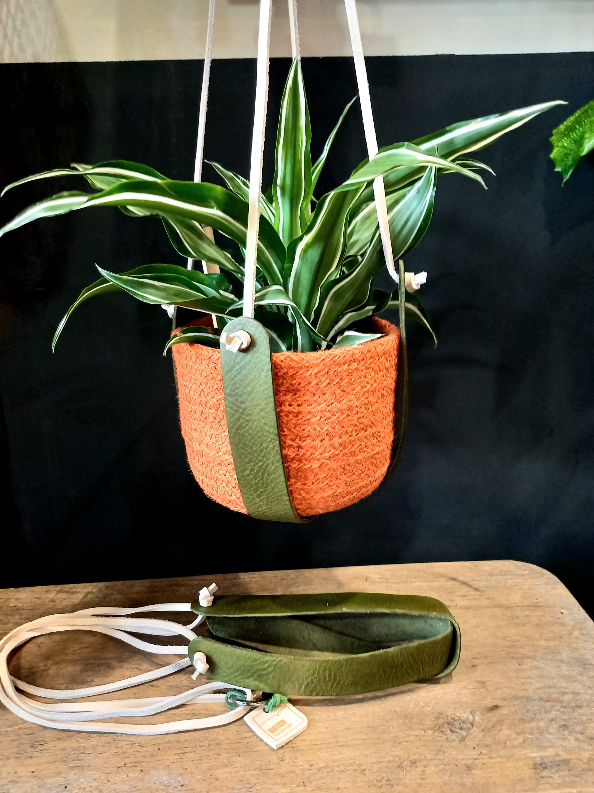 Notch Criss cross plant hanger green