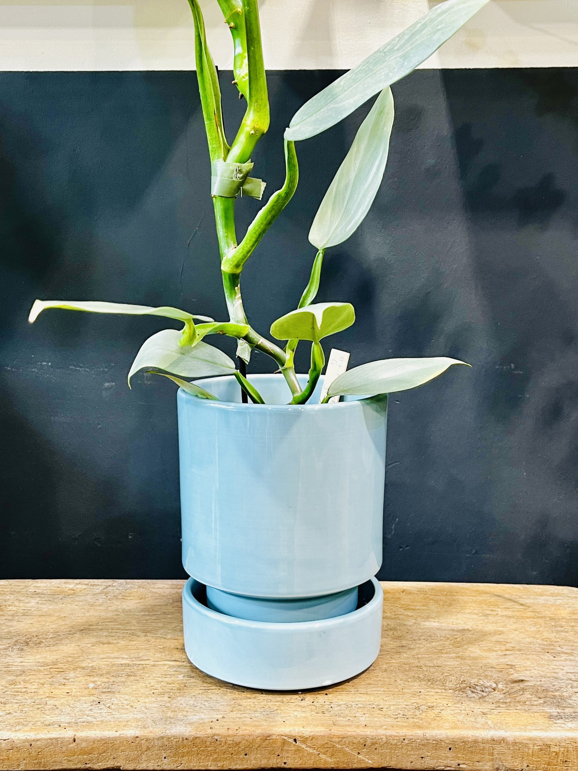 Bergs Potter Hoff Saucer Glazed Misty Blue