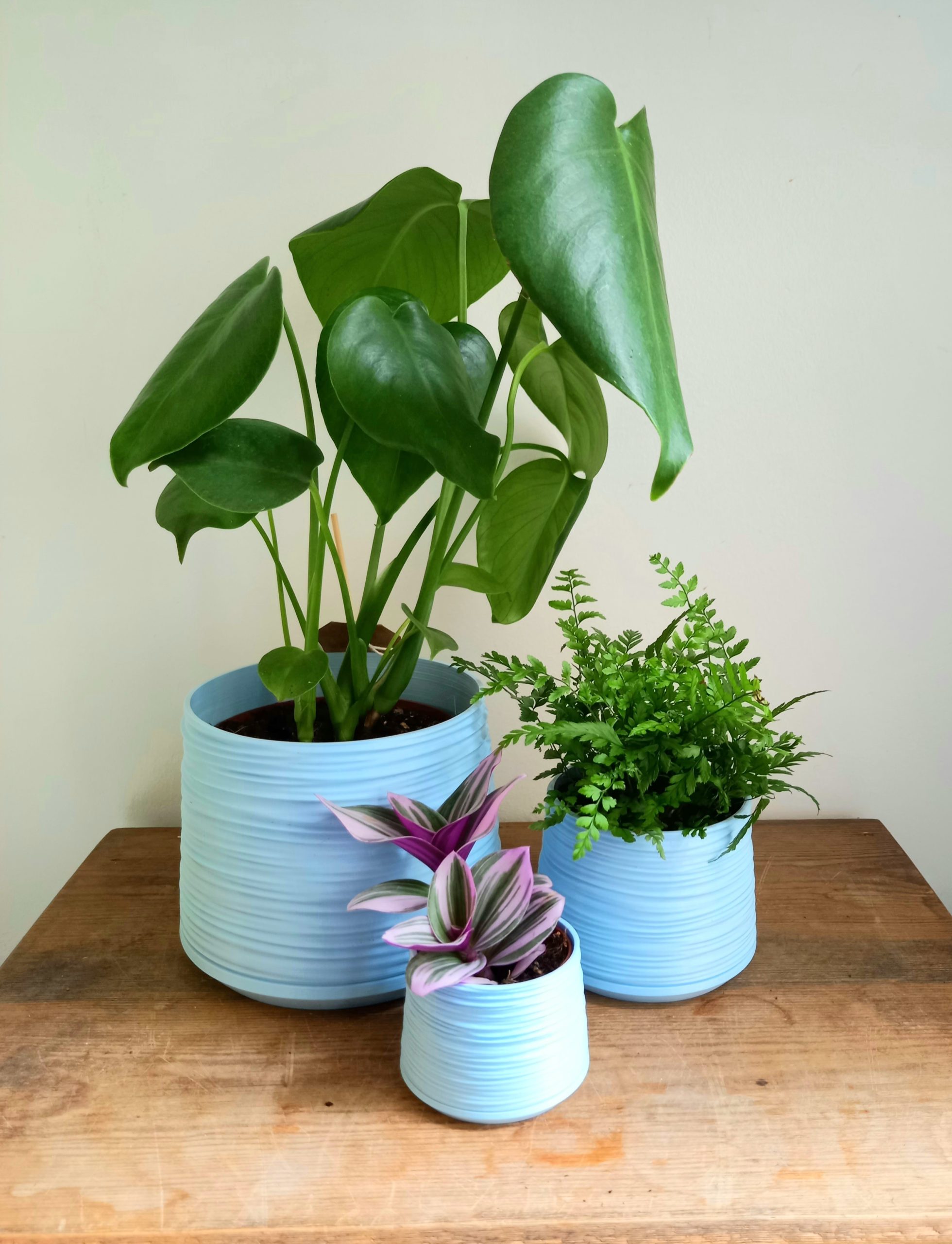 Studio No 16 Baby Blue Ripple