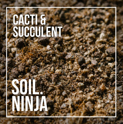 Soil Ninja Cacti & Succulent Compost 5L