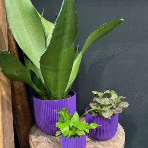 Studio No 16 Crinkle pot electric purple