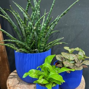 Studio No 16 Crinkle pot Cobalt Blue