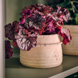 Farleaze sack pot natural 12cm