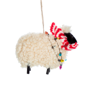 Sheep with scarf
