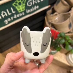 Badger Mini planter