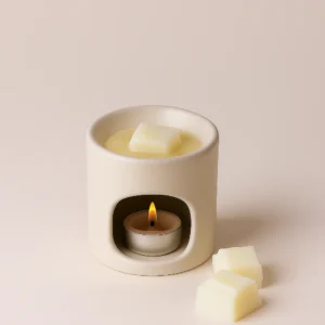 FieldDay Stoneware Wax Burner