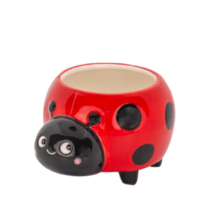Ladybird mini planter