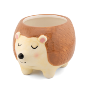 Hedgehog mini planter