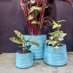 Studio No16 Teal Ripple pot