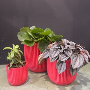 Studio No16 Crinkle Lava Red pot