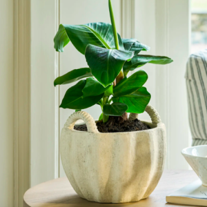 Horcott with handles