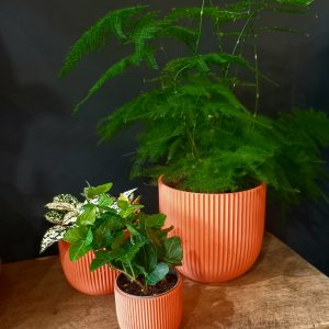 Studio No 16 Ripple pot Muted Red