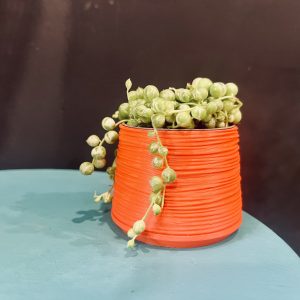 Studio No 16 Ripple pot Muted Red