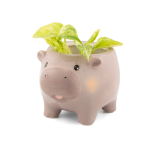 Hippo pot